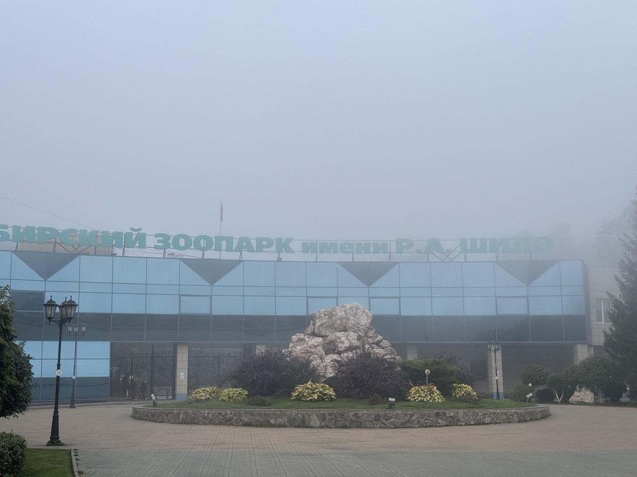 Фото Новосибирск окутал густой туман утром 17 сентября – 15 завораживающих кадров 10